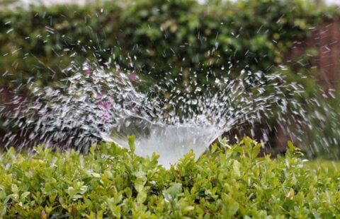 Sprinkler Repair Service in Denver, CO