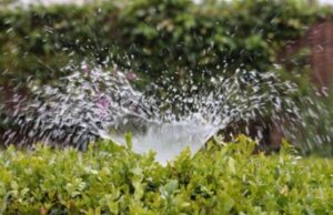 Different Configurations of Sprinkler Systems in Denver, CO