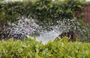 Different Sprinkler Systems Different Configurations of Sprinkler Systems in Denver, CO