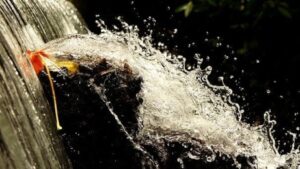 Benefits of a Sprinkler System
