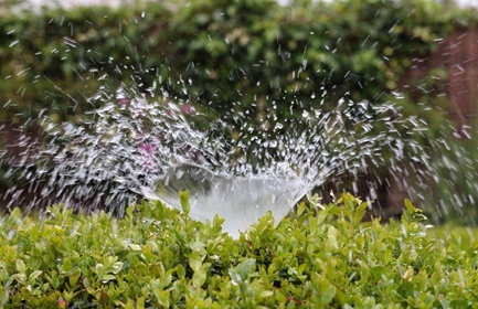 Water Sprinkled on Lawn in Denver, CO