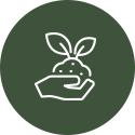 icon1