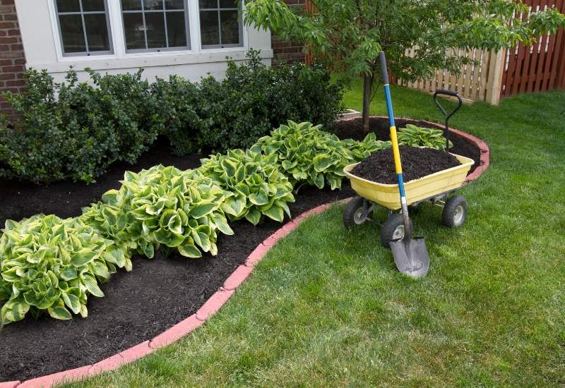 Landscaping Services in Denver, CO