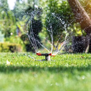 Sprinkler Service Estimate in Denver, CO