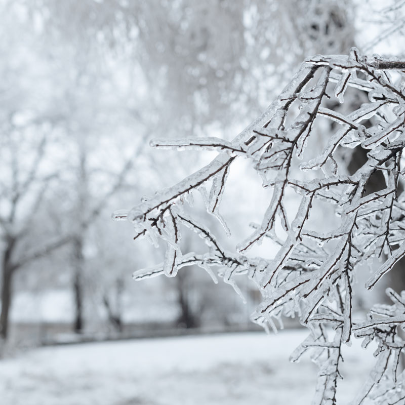 Cold Weather Sprinkler Service in Denver, CO