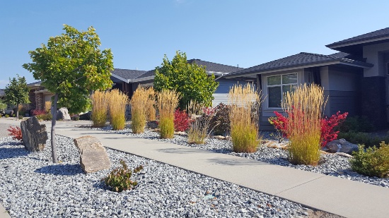 Xeriscape Landscaping in Denver, CO